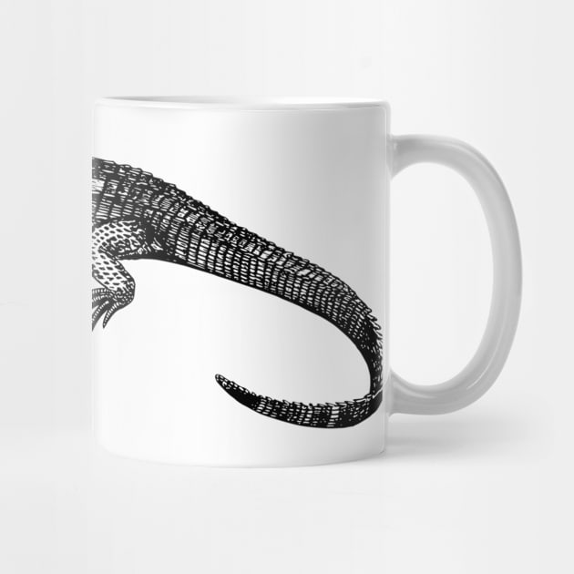 Alligator by linesdesigns